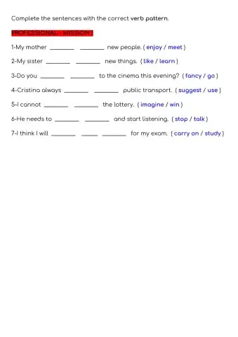 Verb patterns - PROFESSIONAL - MISSION 1
