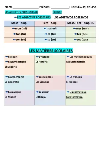 Les adjectifs possessifs (i)