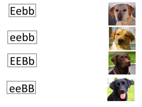 تفوق الجينات