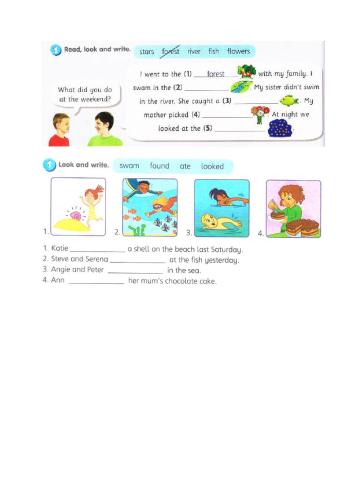 Year 3 Module 9 Revision