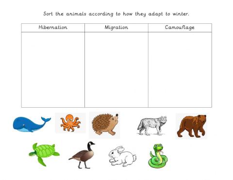 Sort the animals according to how they adapt to winter.