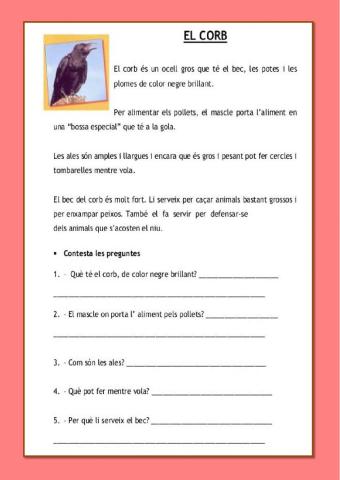 El corb, comprensió lectora