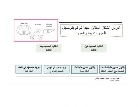 الجهاز العصبي الذاتي