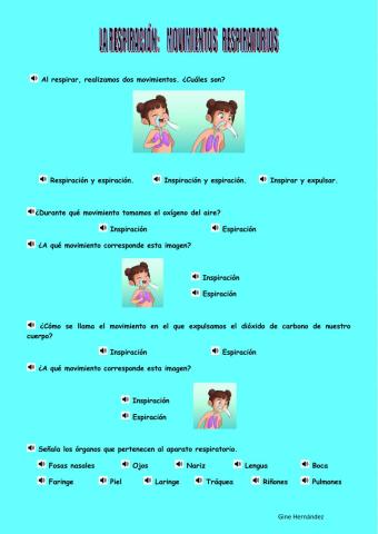 Movimientos respiratorios