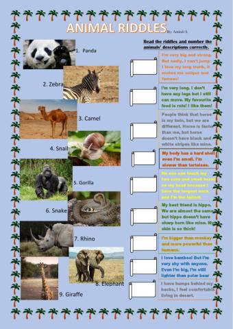 Animal Riddles