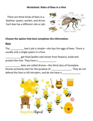 Honey bees
