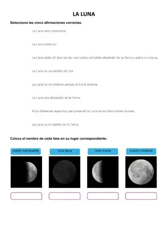 La Luna y sus fases