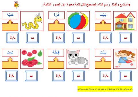 التاء المربوطة والتاء المفتوحة - ١