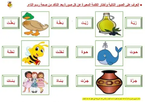 التاء المربوطة والتاء المفتوحة - ٢