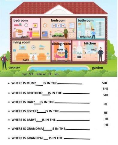 Rooms     and   she-he