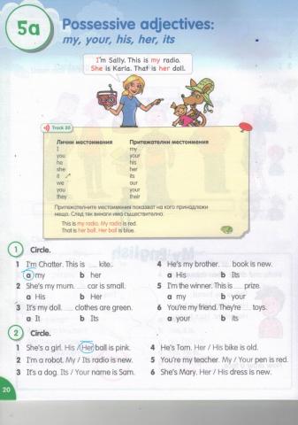 Possessive Adjectives