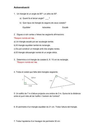 Autoavaluació T3: Teorema de Pitàgores