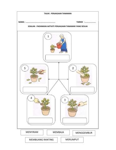 Asas tanaman : penjagaan tanaman