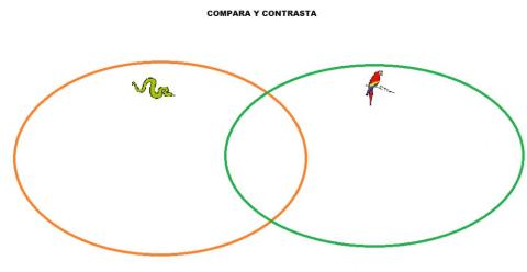 Compara y contrasta