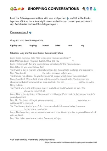 Shopping conversations