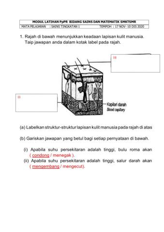 Pdpc ulangkaji m4523112020(2)