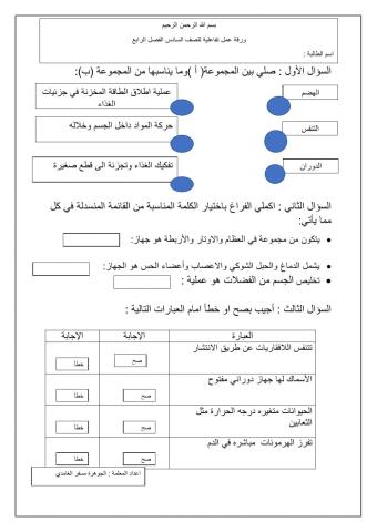 ورقة عمل تفاعلية