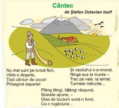 Singular și plural - substantive