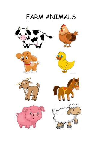 Farm animals