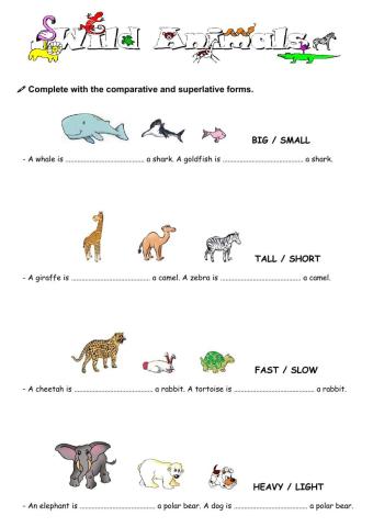 Comparing animals