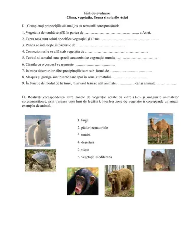 Clima, vegetația, fauna și solurile Asiei