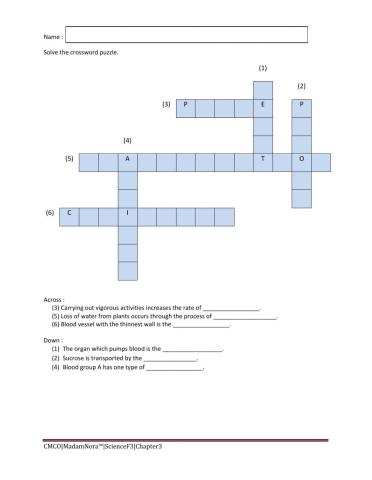 Crossword Puzzle : Chapter 3 - Form 3