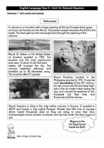 Year 5: Reading comprehension