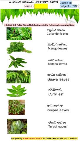 3rd-EVS-WS-6-1-BY MAHESH MACHARLA