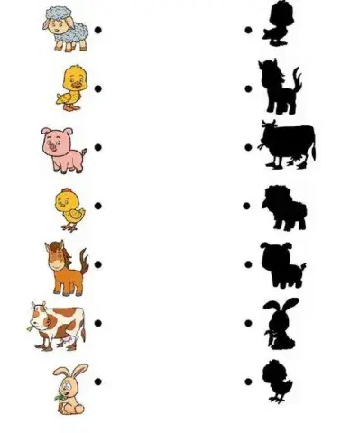 Ζωα και οι σκιες τους