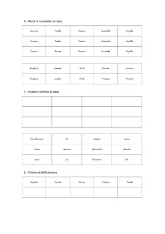 Ordeno palabras y frases