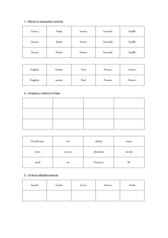 Ordeno palabras y frases