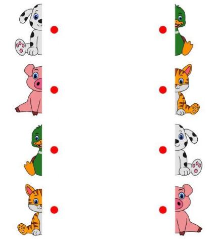 Ενωνω τα ζωα με το αλλο μισο τους