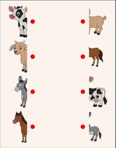 Ενώνω τα ζώα με το άλλο μισό τους