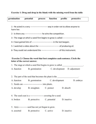 Booklet Vocabulary Questions