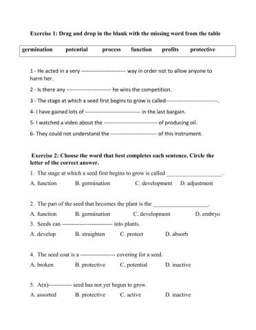 Booklet Vocabulary Questions