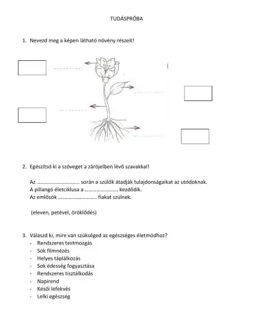 Természettudományok tudáspróba
