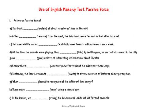 Active or Passive Voice