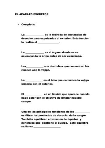 Aparato excretor