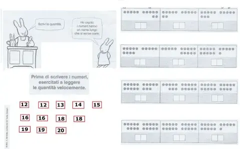 Linea del 20, comprensione dei numeri