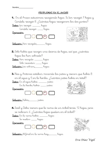 Problemas en el Ansar