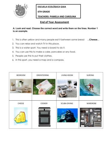 6th Grade - End of year Assessment 