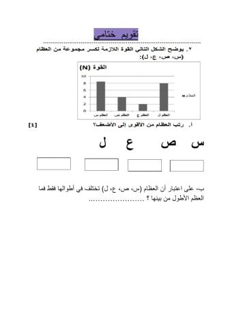 الهيكل العظمي