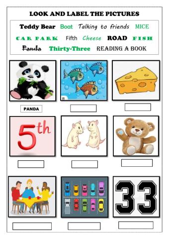 Look and label the pictures