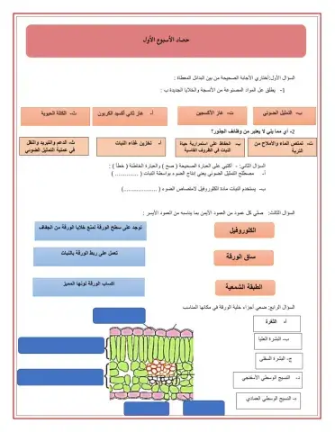 مراجعه للوحدة الأولى علوم ثامن