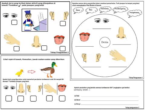 Kemahiran Saintifik - Memerhati