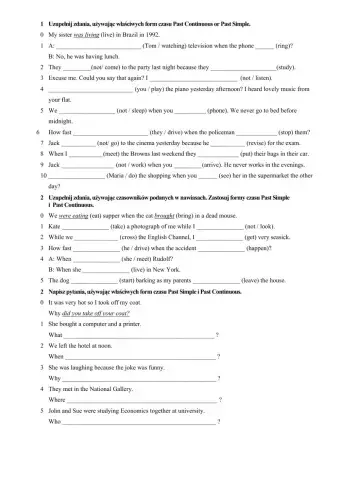 Past Simple and Past Continuous handout