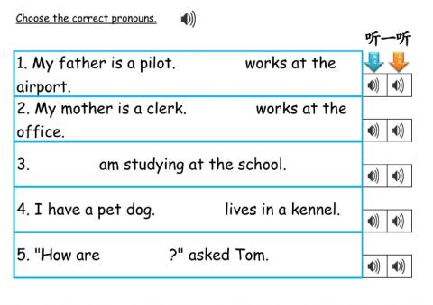 01122020 pronouns 001