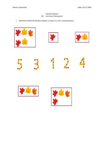 Corespondenta multime - numar