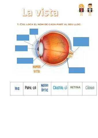 El sentit de la vista