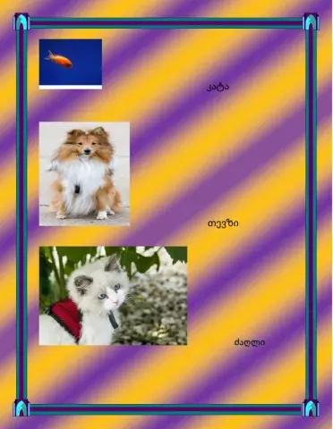 Ტრენინგის დავალება